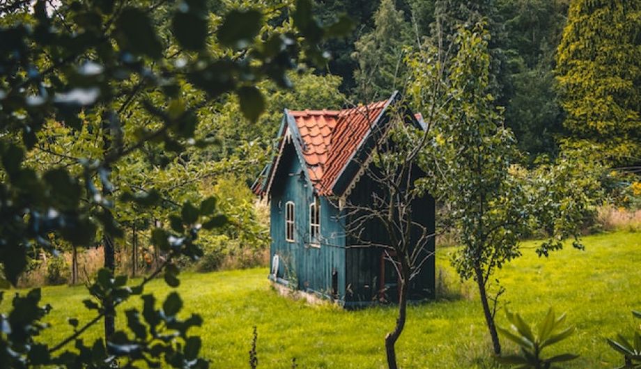 Contract de donație către copilul minor